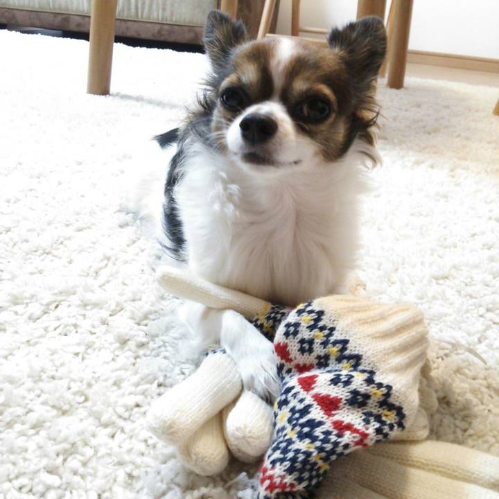 3b9afffb df33 4942 b062 39e46be9f945