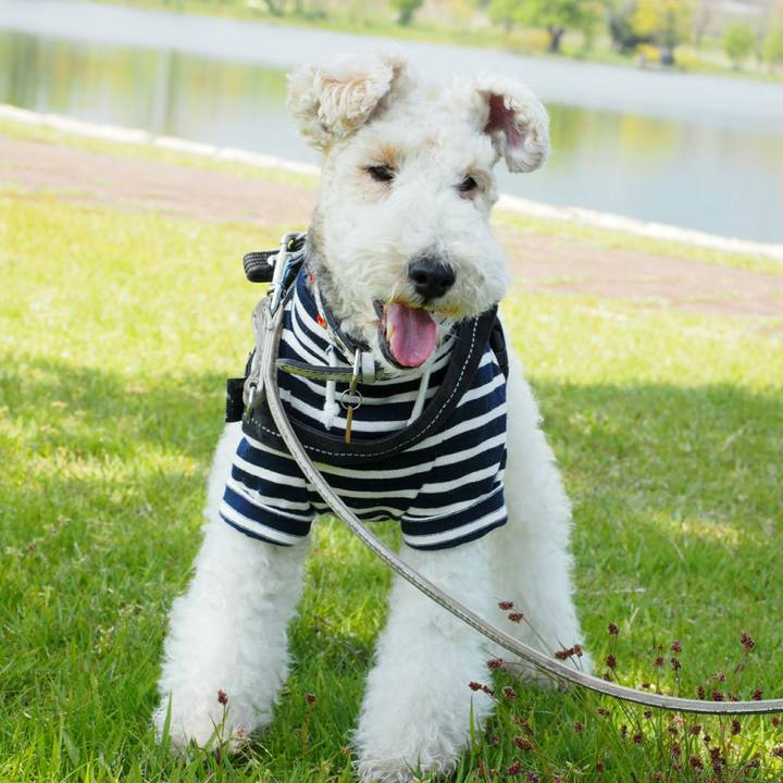 3b9b213e 21a1 4da8 89dc 6d697d548101