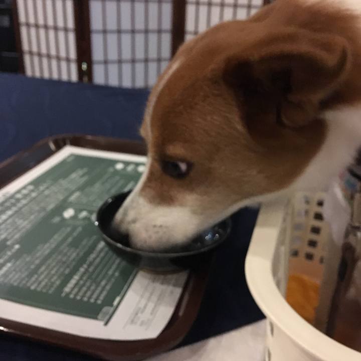 3b9b59c3 1140 4c79 8008 9621bfc4cf8a