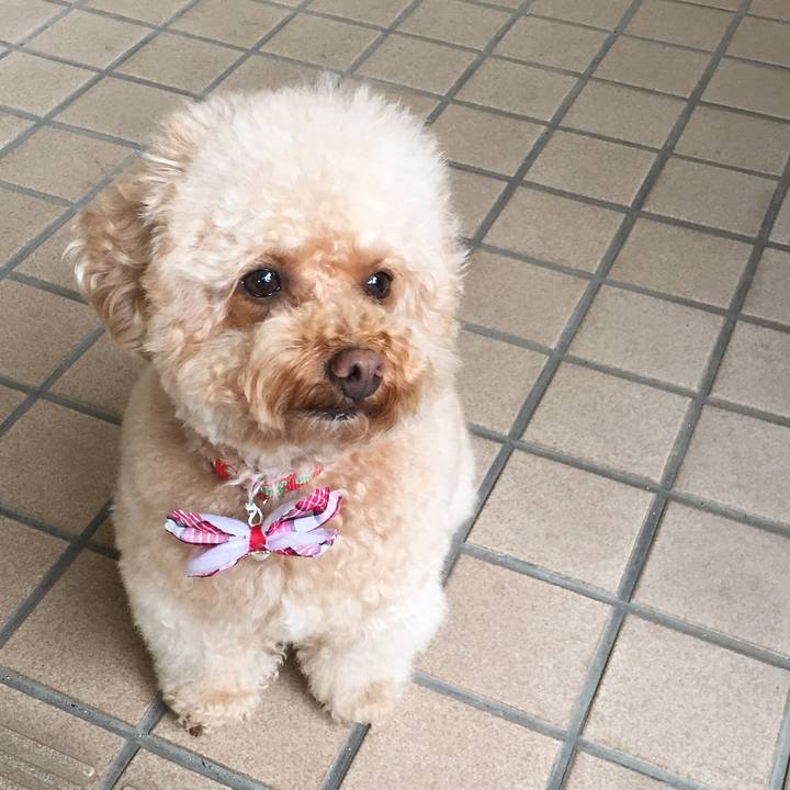 3b9b7235 9e55 418b a788 2cd72dfbe58d