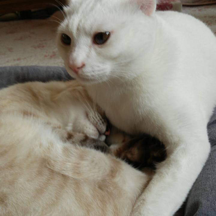 3b9bd99c 90df 4c58 b0d9 d916ef79019e