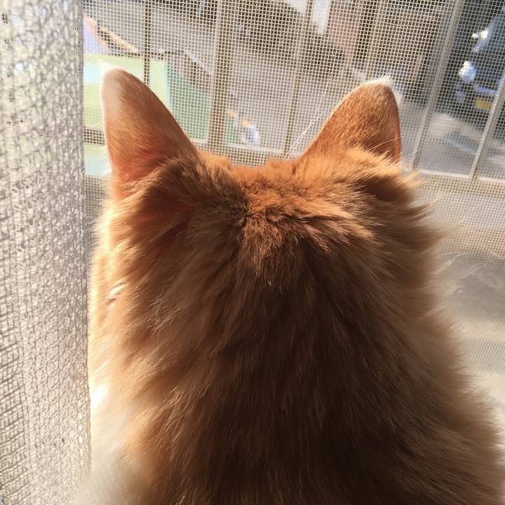 3b9c10a9 eae9 4362 a2b1 ac816c35ec8e