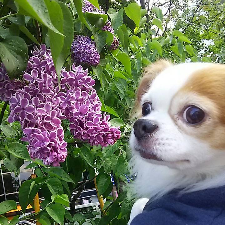 3b9cf84e c8a1 4c91 bfdb 01565f4f0662