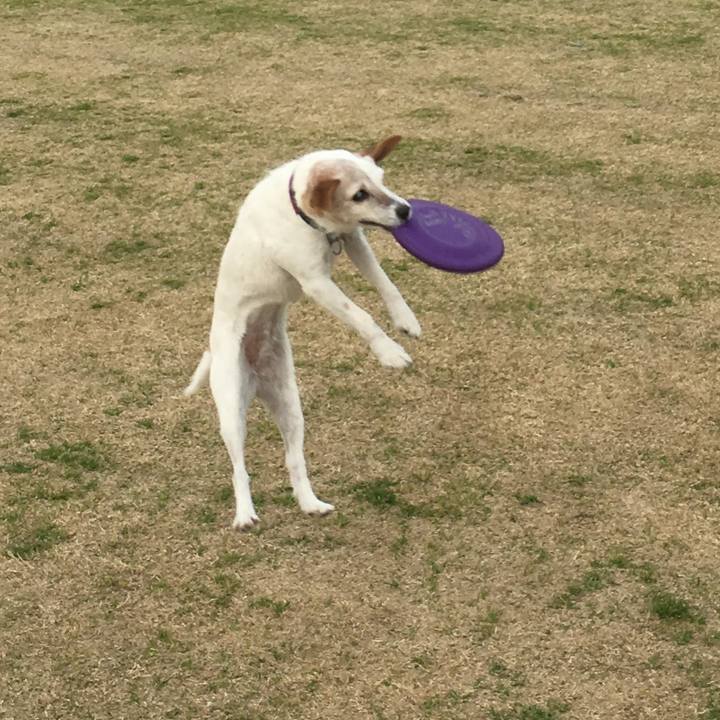 3b9db7f5 924b 4a2b 9cb5 d1a5376f5478