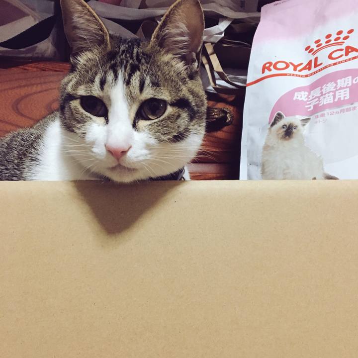 3b9e5b9a aa7b 448c 955f fb4f85a852bd