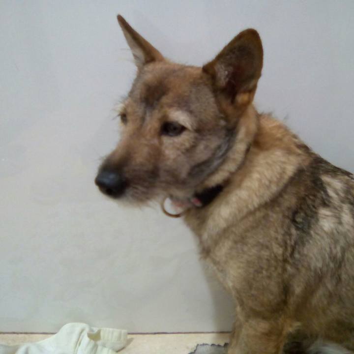 3b9f21f6 cd04 49d7 8b7e 1c55852fe2c6