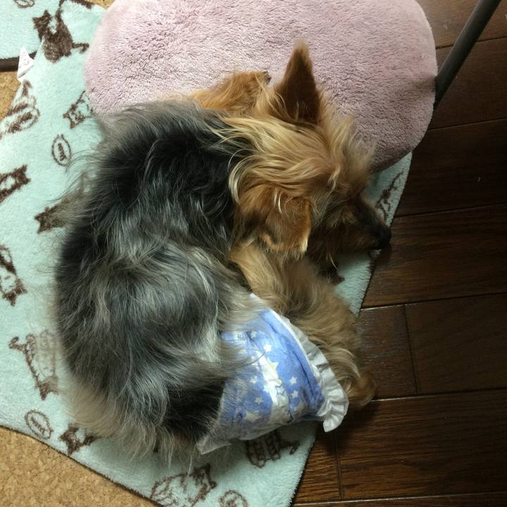 3b9f5730 c560 42e7 8e06 ec56da38fd24