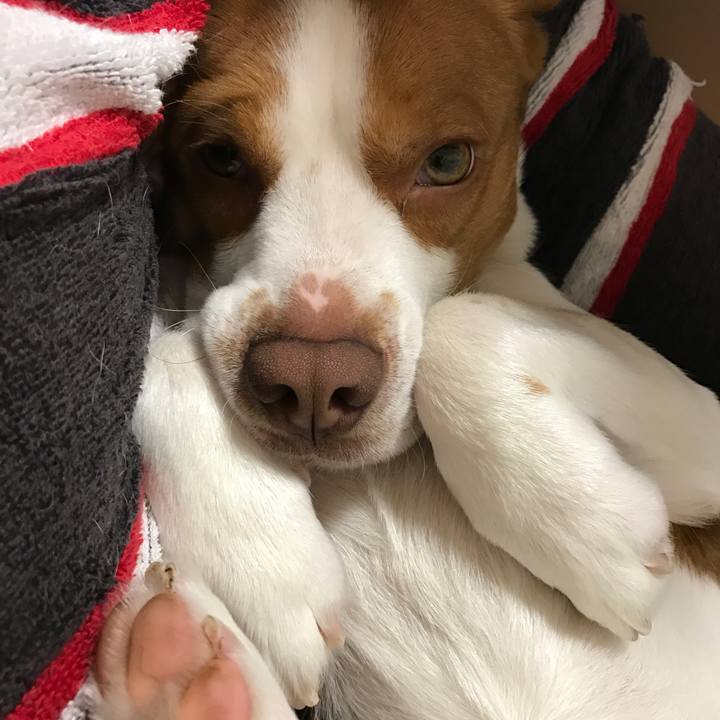 3b9f8fb2 e39f 4bd6 8a25 b4e71260d4ce