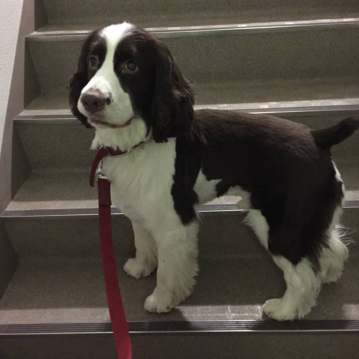 3ba04c1c 6b13 44e7 895e 6651d128d73c