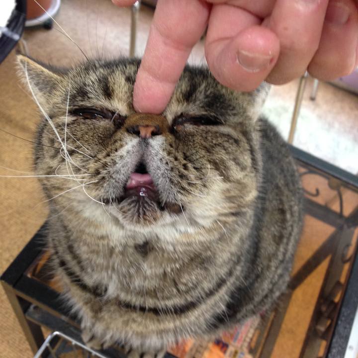 3ba0c8a8 474c 4d14 82d0 9a11cbf814b4