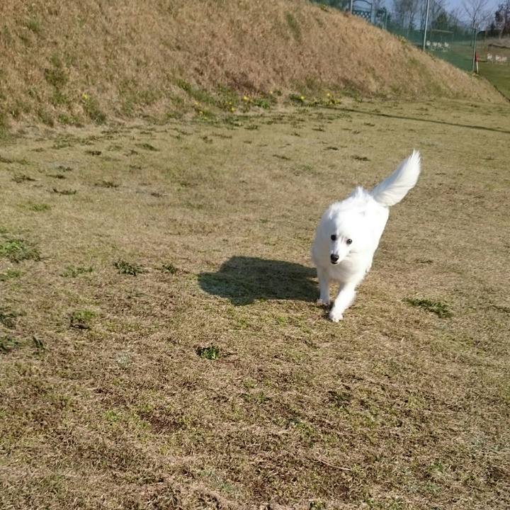 3ba3108c 7958 4f4a b584 013a676e6543