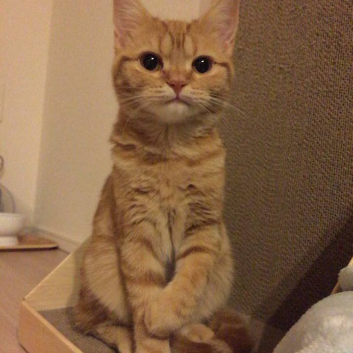 3ba34a5b 9cc9 4fb6 a0ea 403699952acf