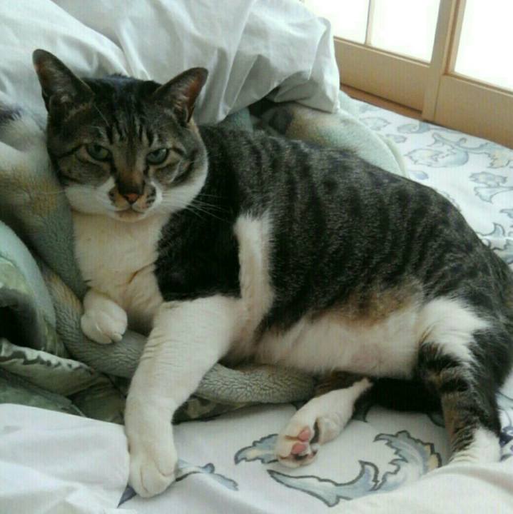 3ba421e6 0e04 4bef a066 80b3d2647137