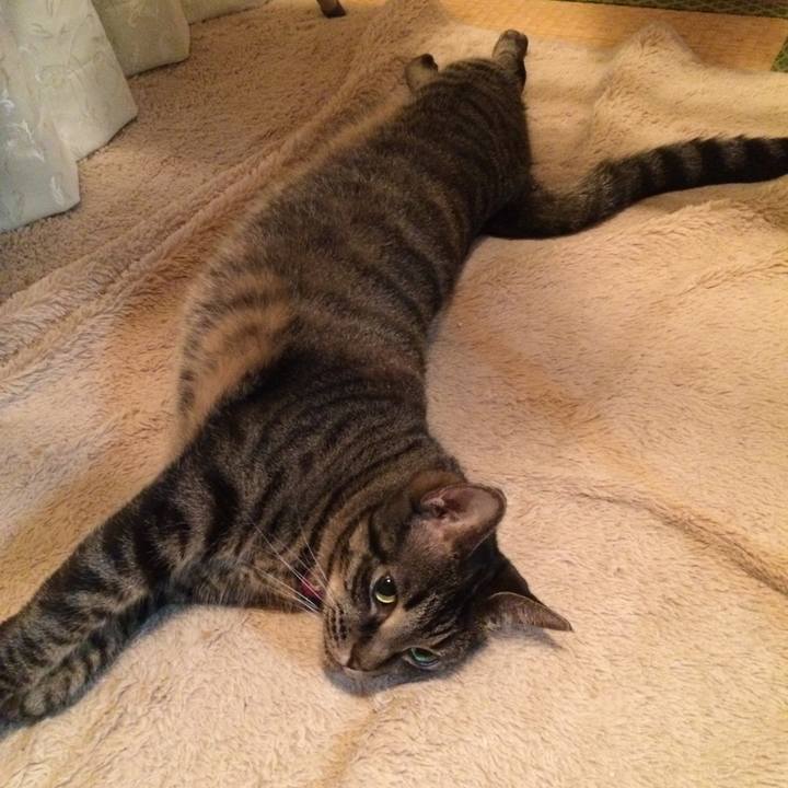 3ba44d65 b58e 4fe4 baa7 19f2f22a58df