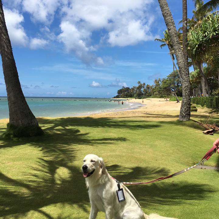 3ba46b31 438c 4c8b a8f4 2d3f69e3edb1