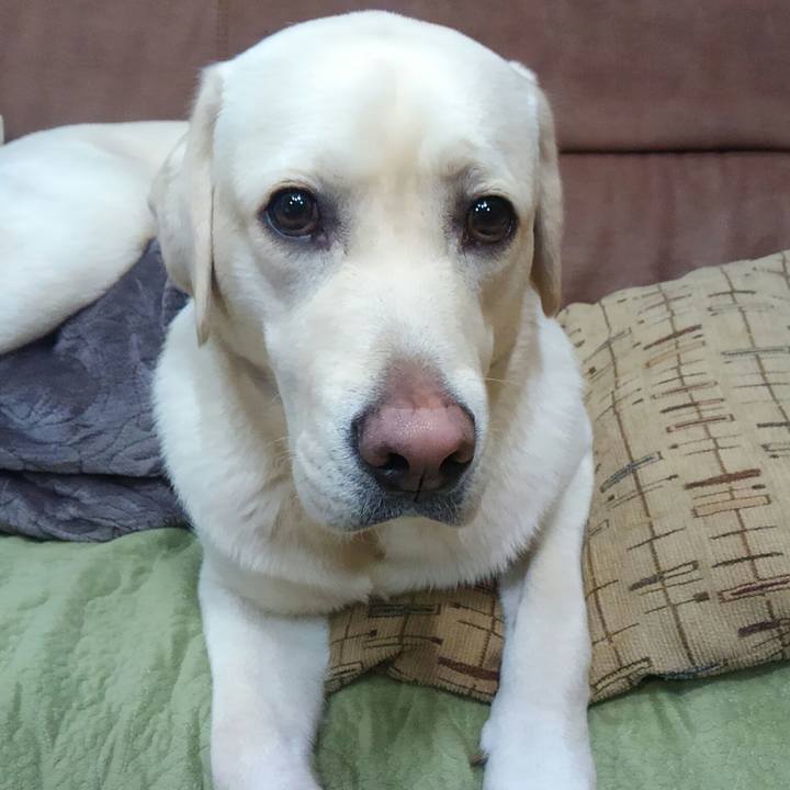 3ba46bf8 3f03 40e4 89ef a218c4599503