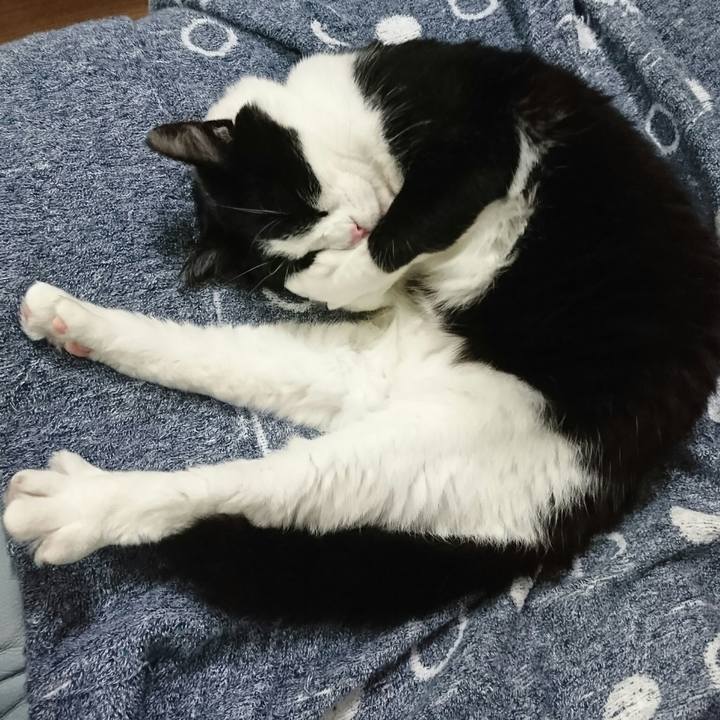 3ba49c3f 86d2 4692 ba3a ba37df54d45d