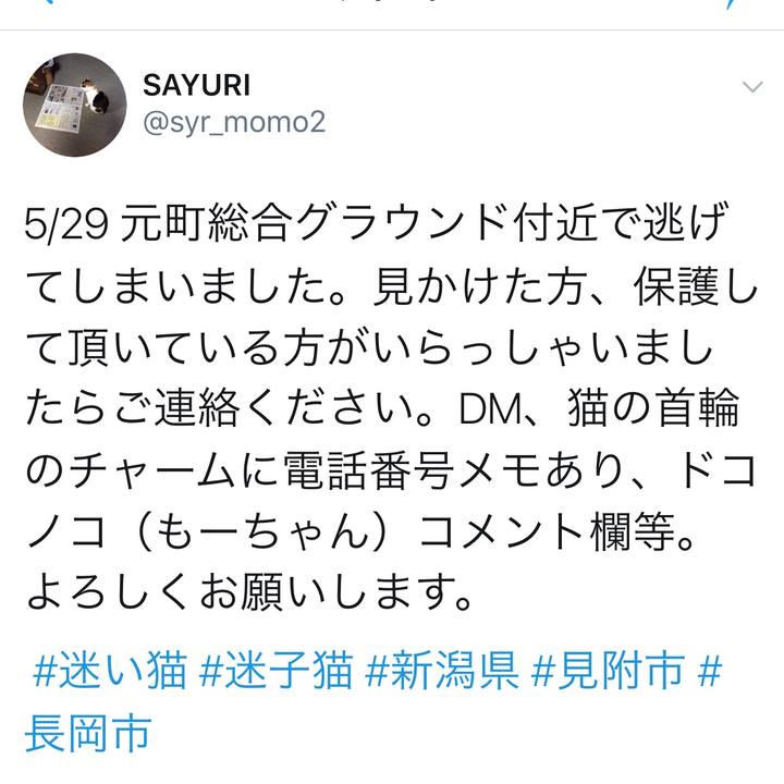 3ba4b47b 726b 4155 b0ad e852d8db83e9