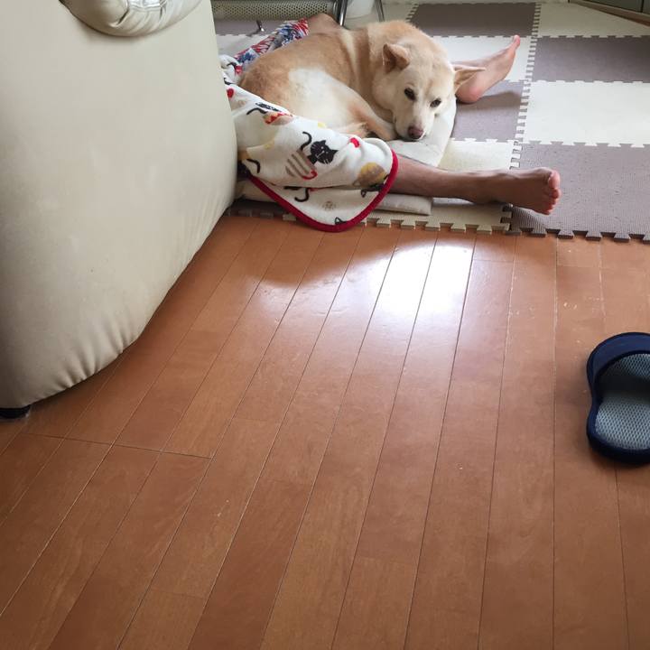 3ba50c01 d662 4bf1 842a a5d09c817cb8