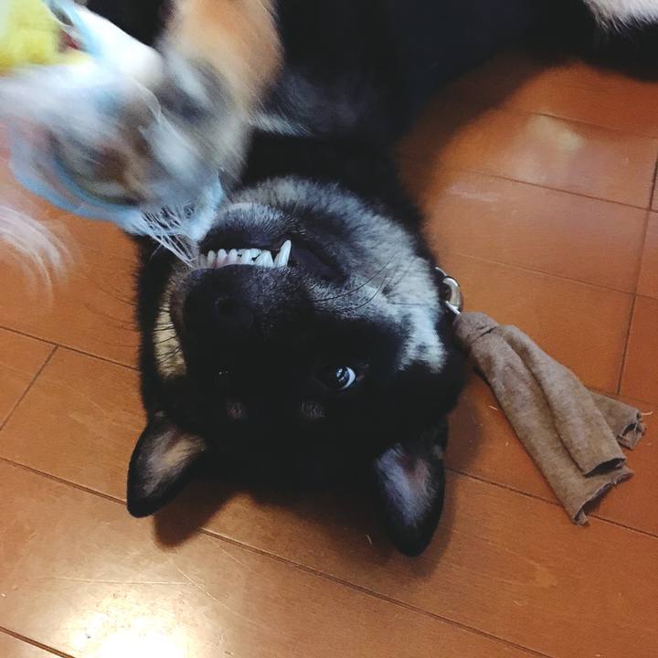 3ba5dd36 164b 4cb8 985c e95176fa207d