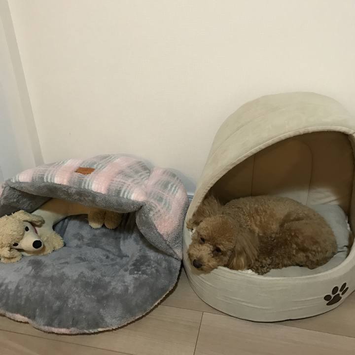 3ba5f6ca 9839 4f42 bdbf c4bcd47d04ca