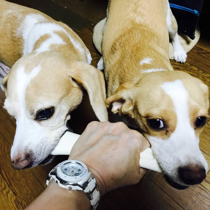 3ba698c3 96b1 4ab4 85f9 b27b352d64b4