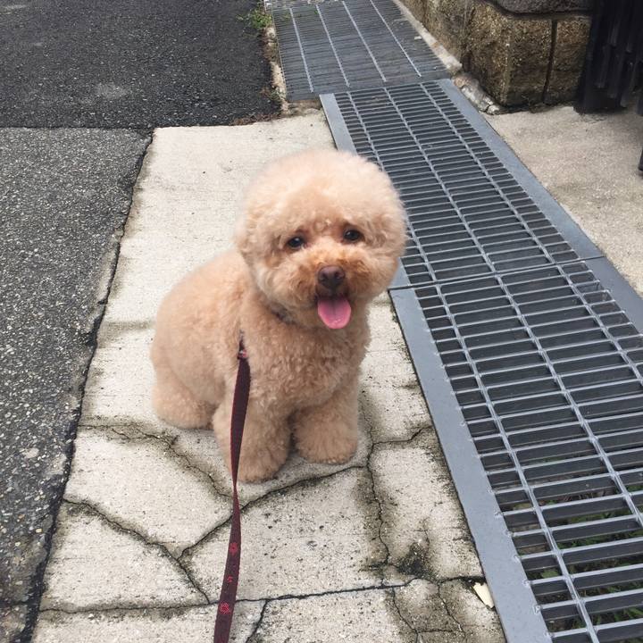 3ba72042 4e03 4597 8889 3292fa3dcb81