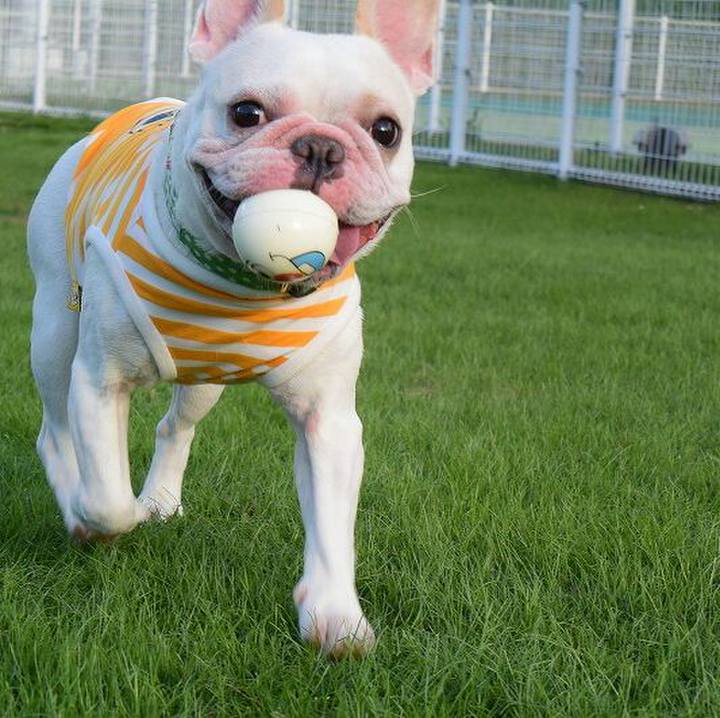 3ba7d5de 9eeb 409f 8b0e b5b2d1a801a9