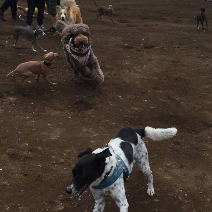 3ba8264b a507 4398 8dfe 47afe180986a