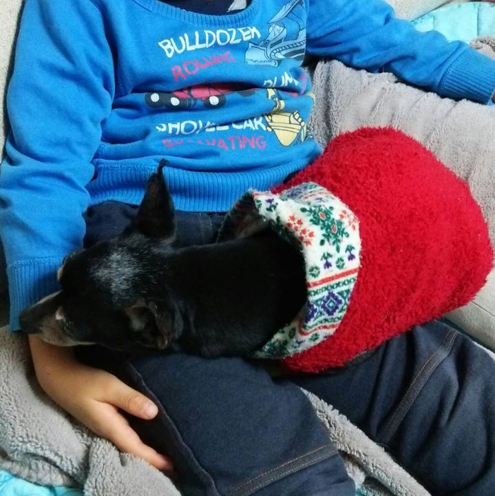 3ba893e8 b2c8 42aa a239 5d48c4e12104