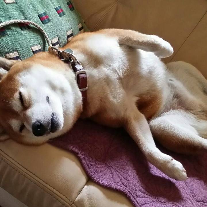 3ba8baf5 d45a 4458 89f7 41de8a7148ac