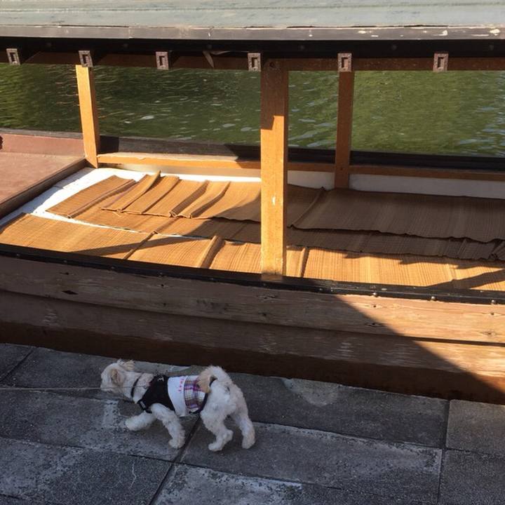 3ba8cf4d 9b0c 47cc 9b93 ed6dd1fbe9d0