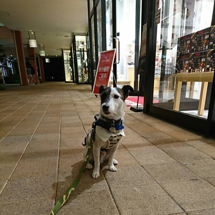 3ba90303 3542 41f1 9c23 0588bd40ea1f