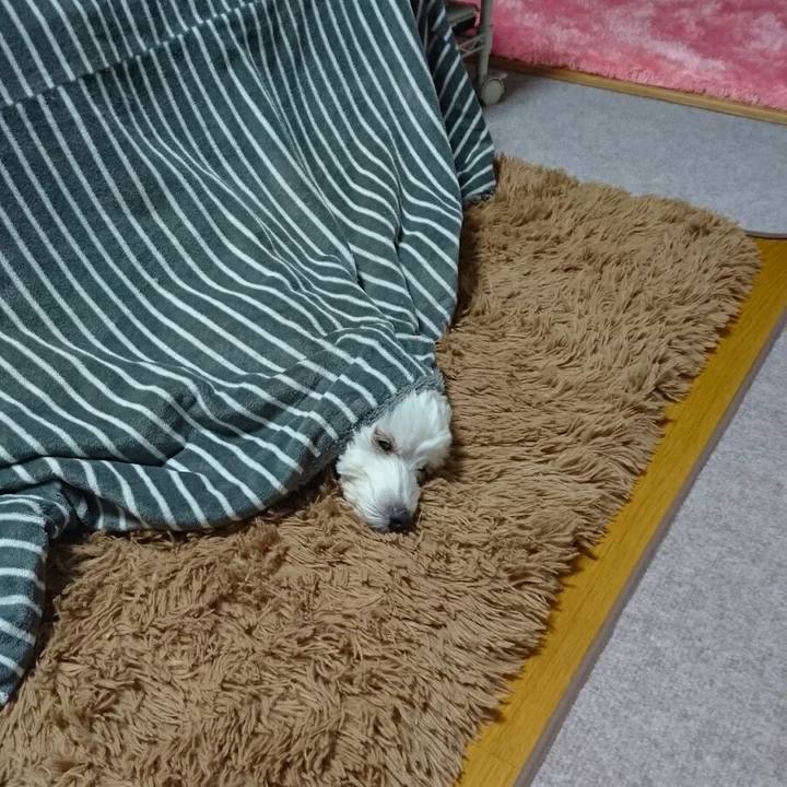 3ba923dc 73e8 43c9 b24c 5aea50af173e