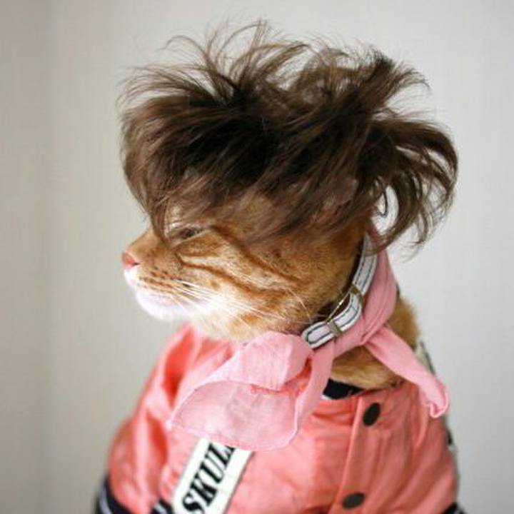 3ba9d11a 03f0 4d2b b462 126c05cabf31