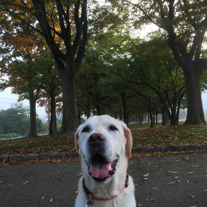 3baa8f46 3f1a 4ad5 a00c 504fda0395d7