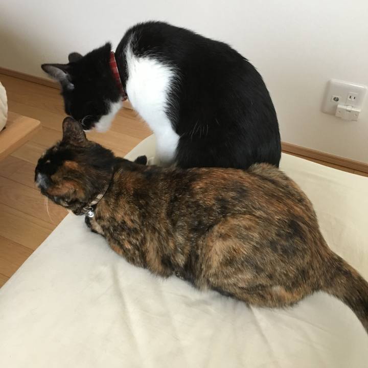 3bab386b 33d7 40a1 8702 9cfc5cde6e1b