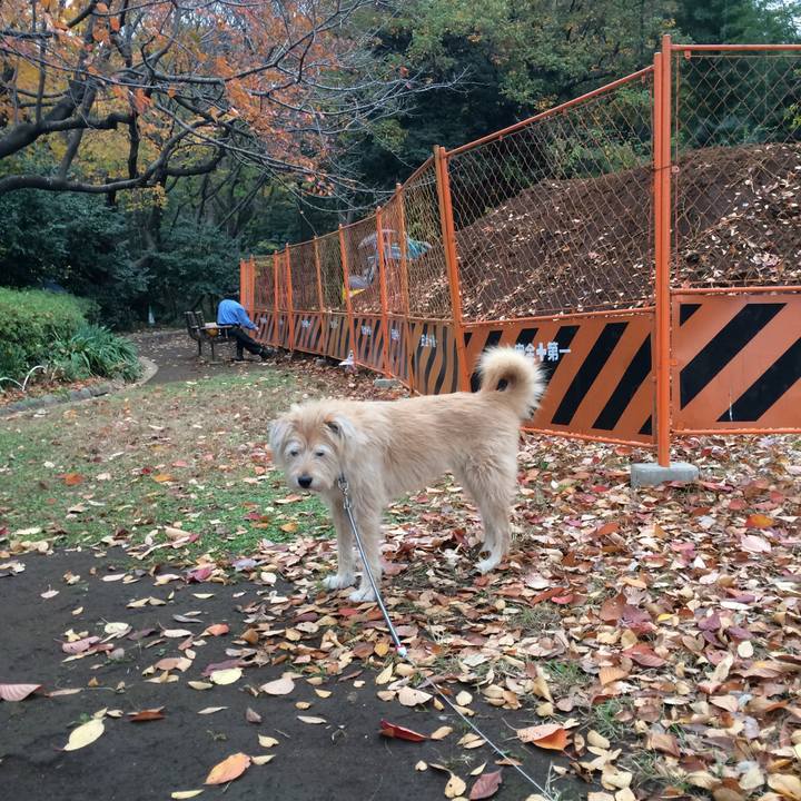 3bab4cb4 ca67 40fc aa5f f130f866dc56