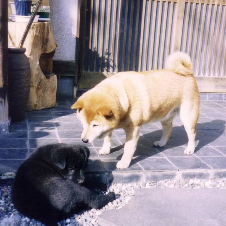 3bab53af bd6c 41a3 8229 8ba9ffcc5e66