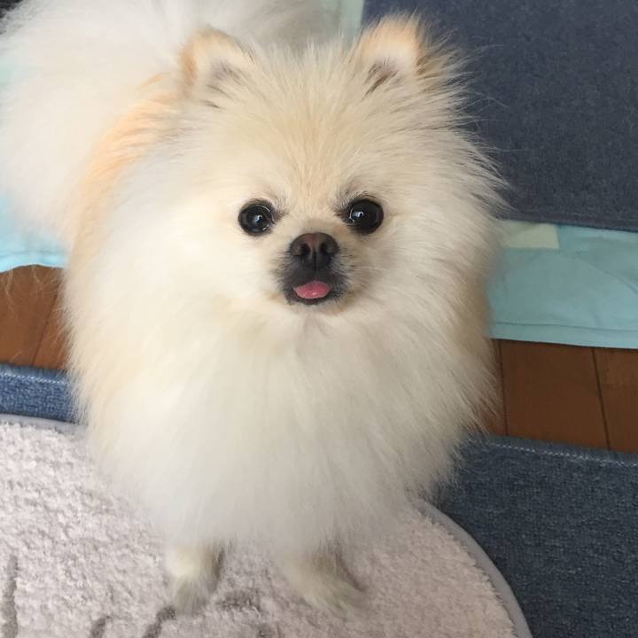 3babe50a efe0 4b57 96a9 86139a329e2c