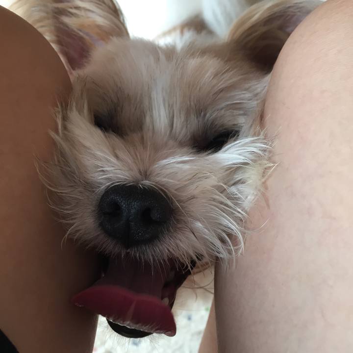 3babf2d2 bb42 4b83 ba92 ab64f8d365f5