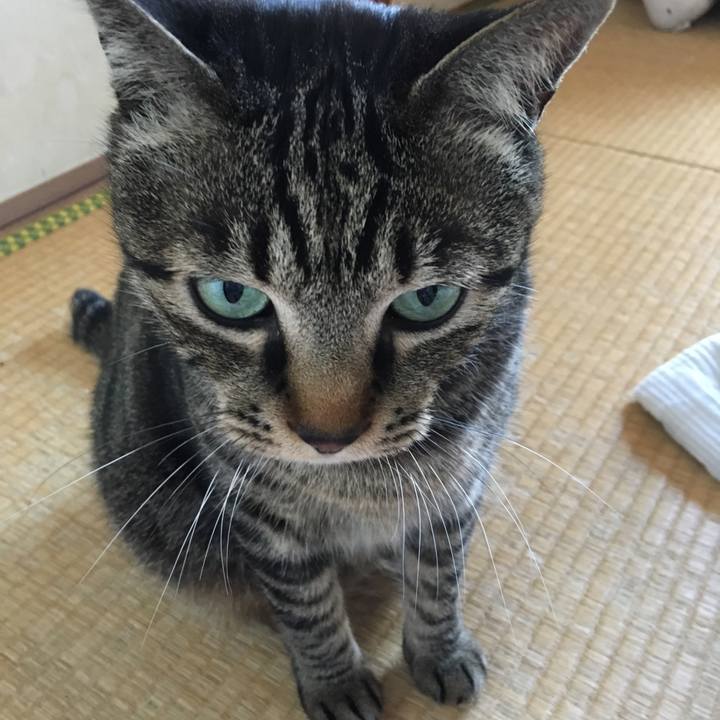 3bac2a02 9cbd 41f6 8c45 cc0ac40660ee