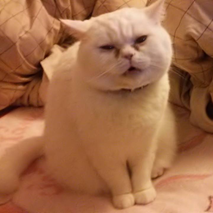 3bac7744 894b 442b ba7a 9f8785713a92