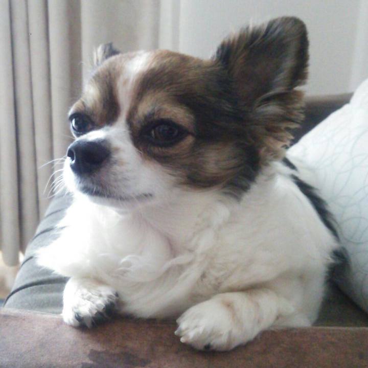 3bad99c4 6ad1 495e be97 5f71bd1b8ea5