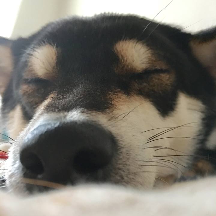 3badd907 ec1f 4882 a211 b96cc7902b96