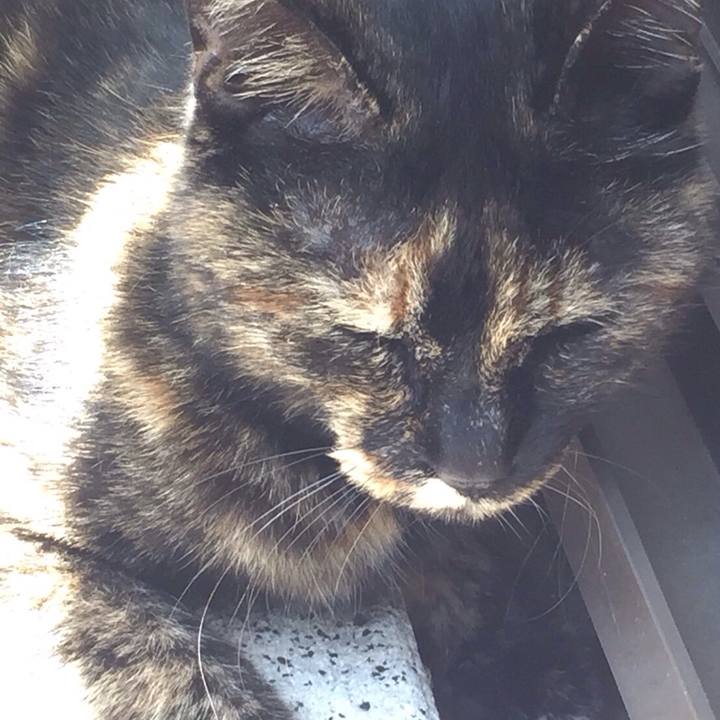 3bae8939 3a49 4c07 88a3 ce48dd480597