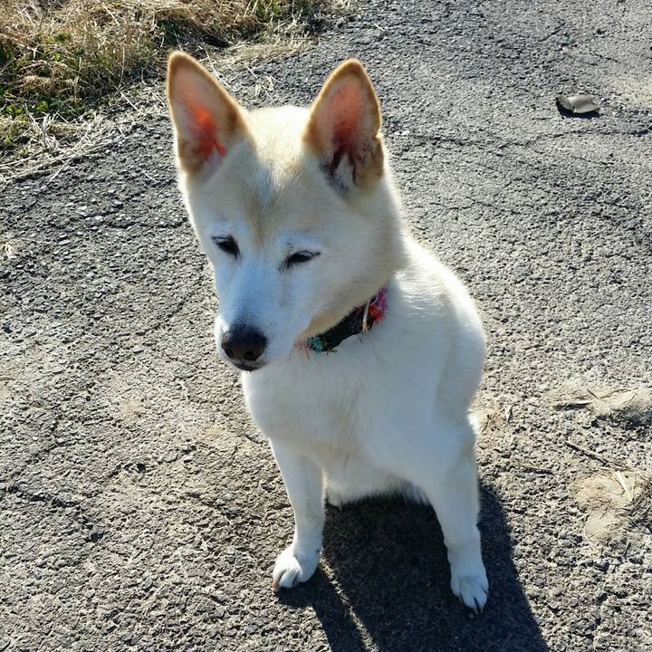 3baeacef c6de 47ac 8112 09cb621d26dc