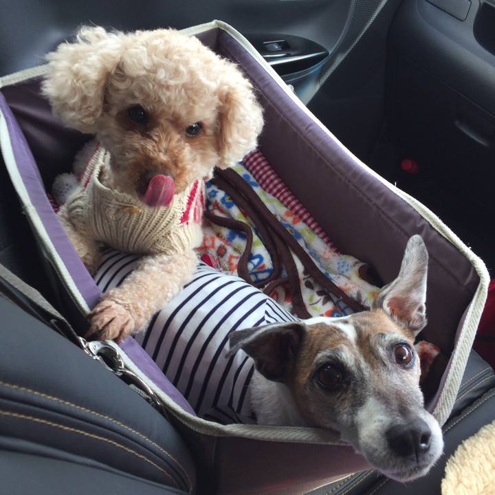 3bafa90d c3d0 4b39 8c24 23960a9a87af