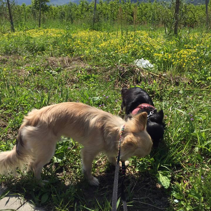 3bafde1f 91b3 45e4 a941 2b093a6b8a3d