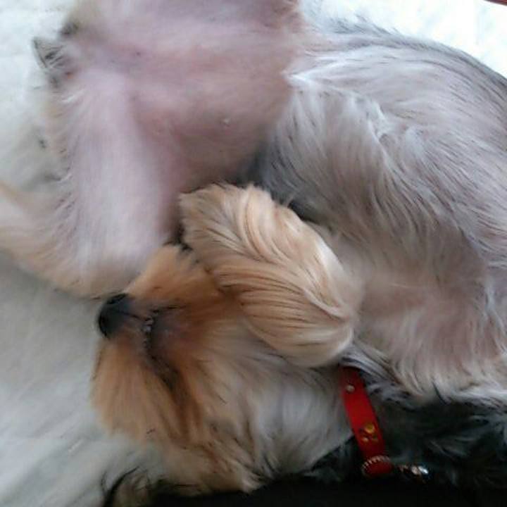 3bafed2f e4f5 4552 b318 831b64ea4877